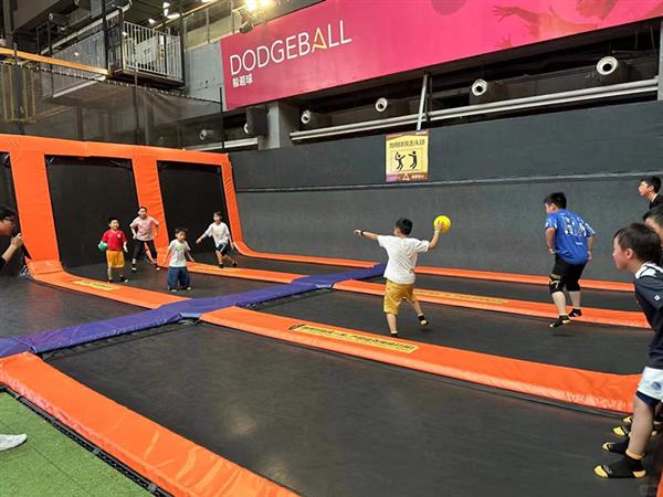 Dodgeball Court